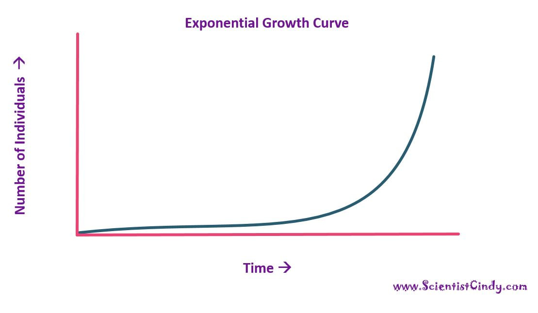 Exponential curve